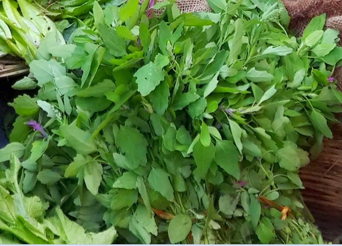 Bathua Saag: जाड़े में स्वाद ही नहीं  जानलेवा बीमारियों के लिए रामबाण है बथुआ का साग, जानें इसके फायदे