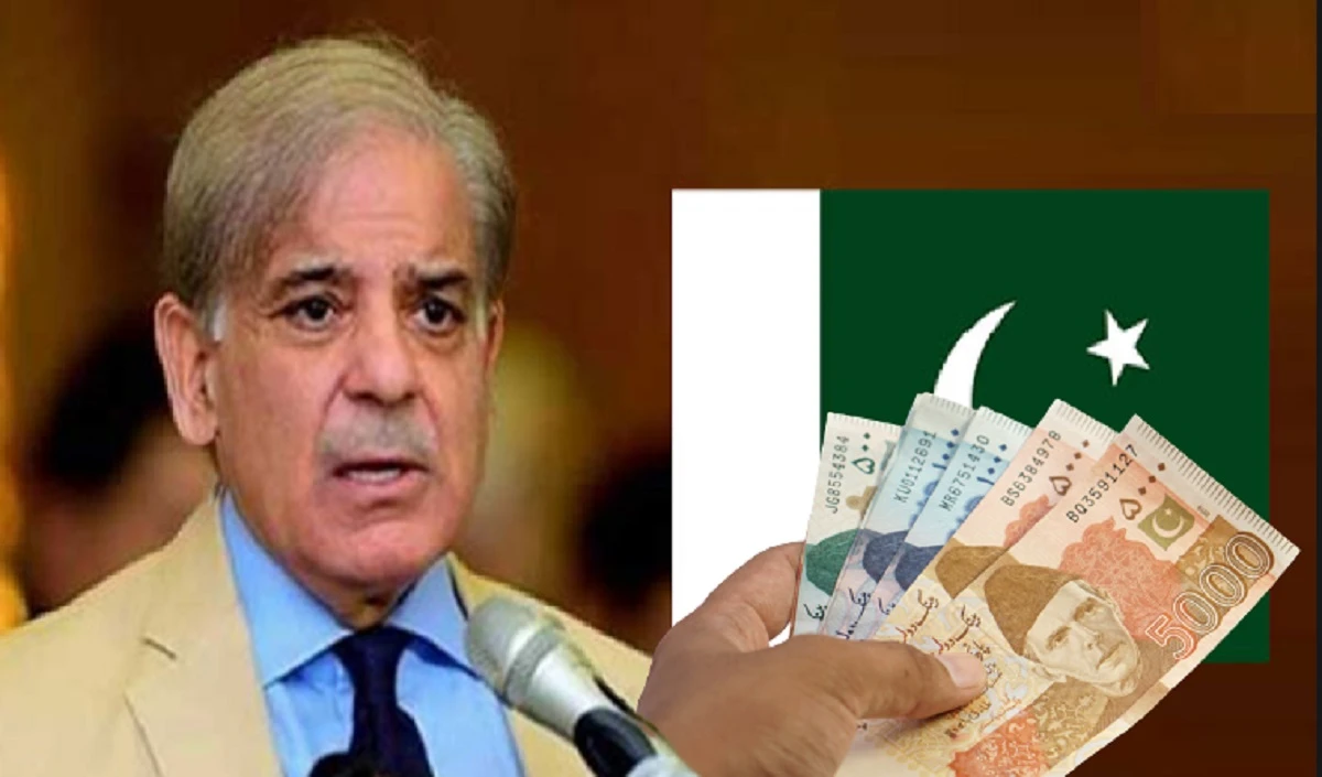 Pakistan economic crisis: पाकिस्तान विदेशी मिशनों, कार्यालयों और कर्मचारियों की संख्या घटाने का लिया फैसला