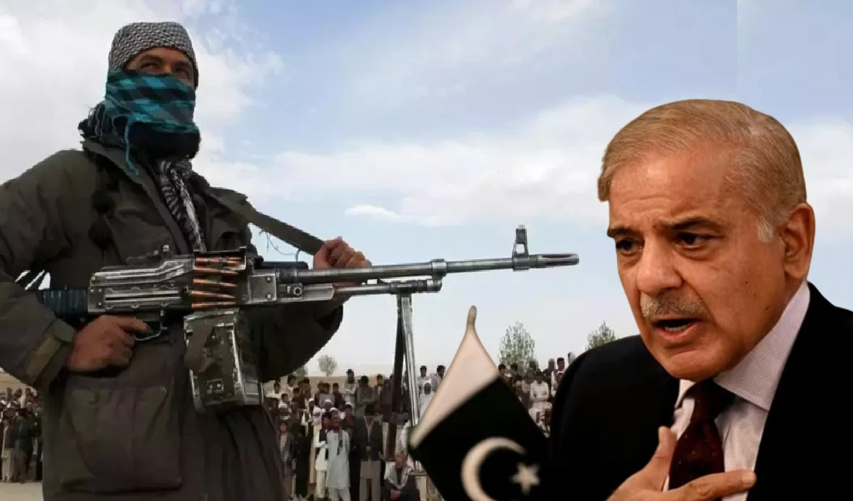 Taliban को पाकिस्तान ने बता दिया RAW का एजेंट, TTP ने कहा- अपनी औकात देख लो