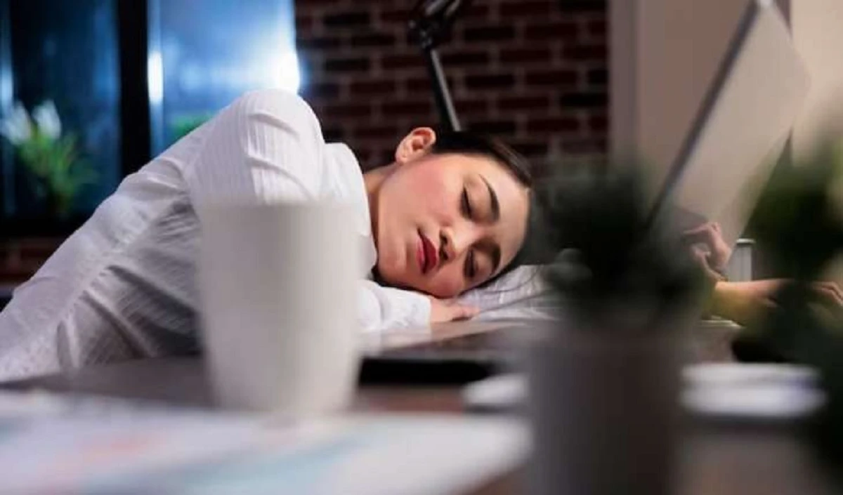 Power Nap Benefits: दोपहर की झपकी के ये फायदे जानकर हो जाएंगे हैरान, दिल ही नहीं दिमाग भी रहता है स्वस्थ