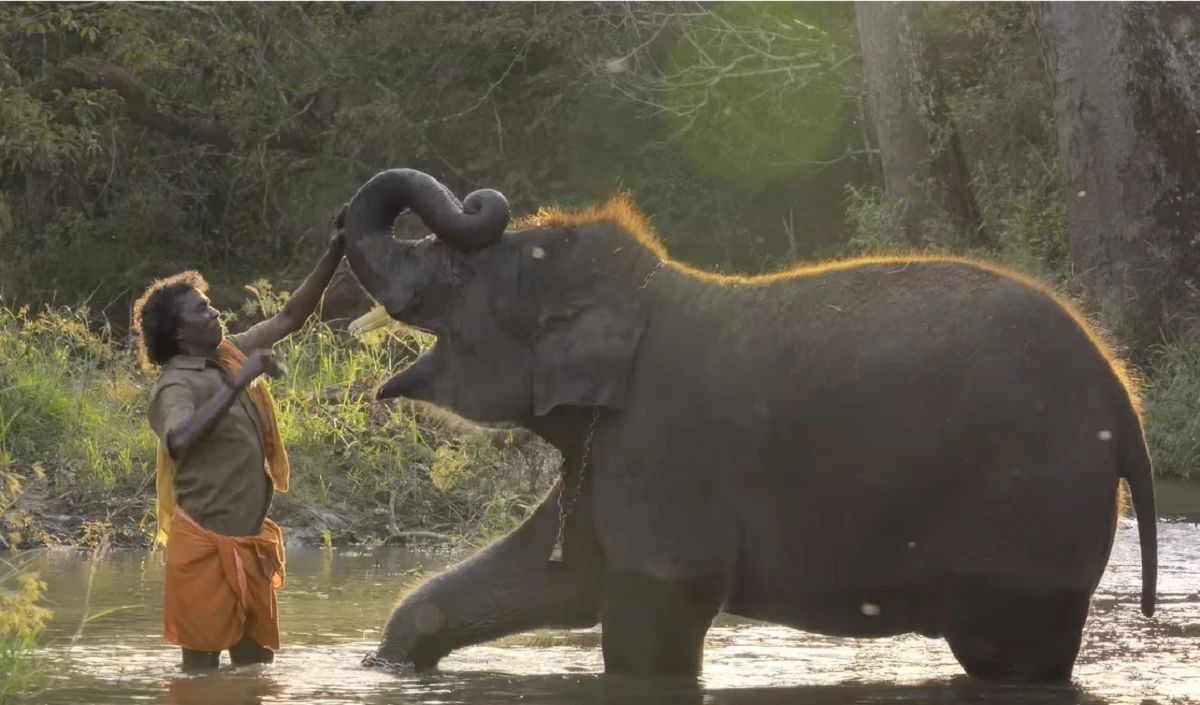 Goa Environmental Film Festival | गोवा पर्यावरण फिल्म महोत्सव ऑस्कर-विजेता ‘द एलिफेंट व्हिस्परर्स’ के साथ शुरू होगा