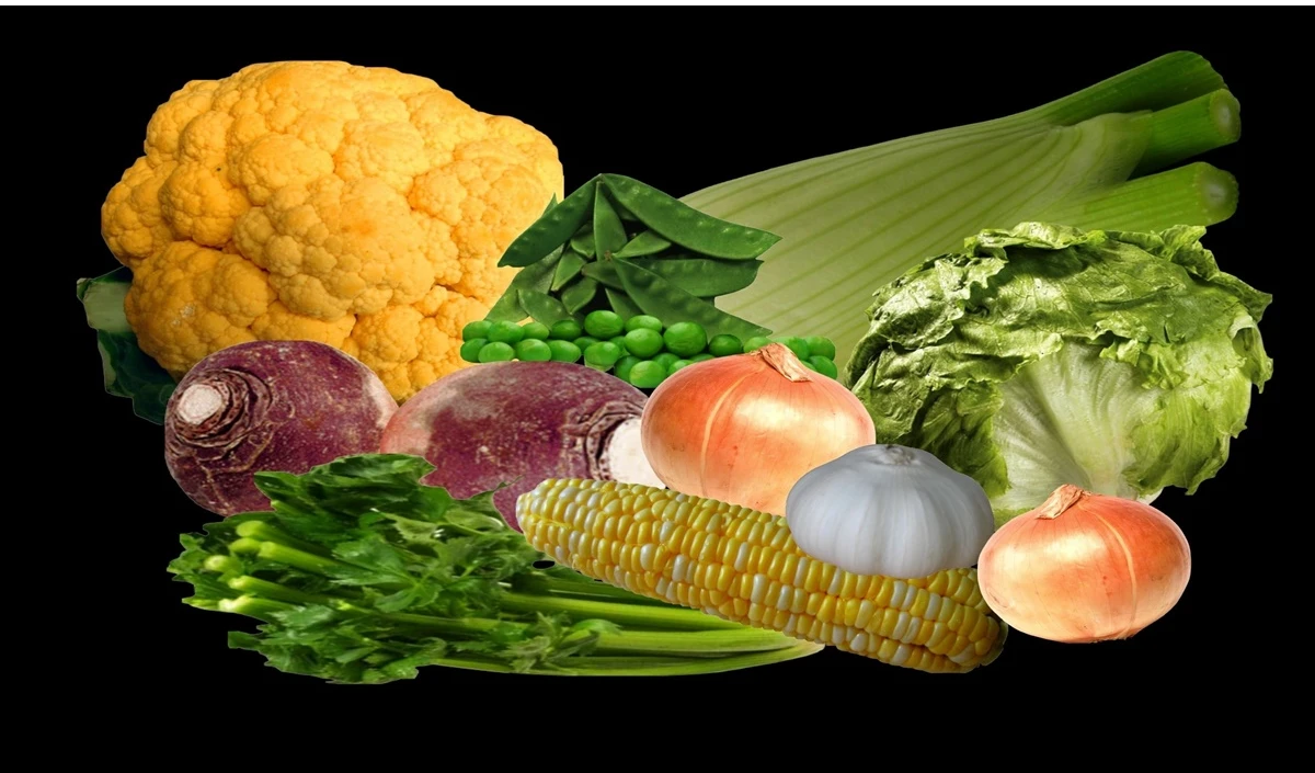 सरकार ने 13 प्रतिशत वैट लगाया, नेपाल के व्यापारियों ने भारत से सब्जियों का आयात रोका