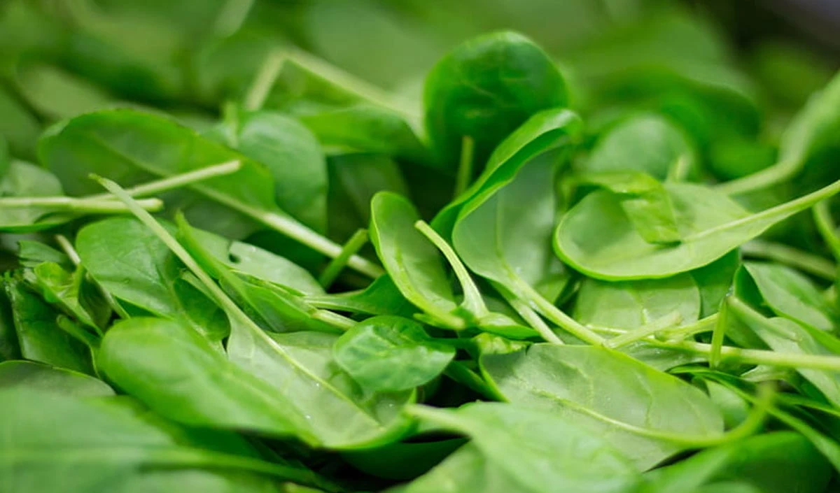 Health Tips: डाइट में शामिल करें ये चीजें, मिलेगा भरपूर कॉपर