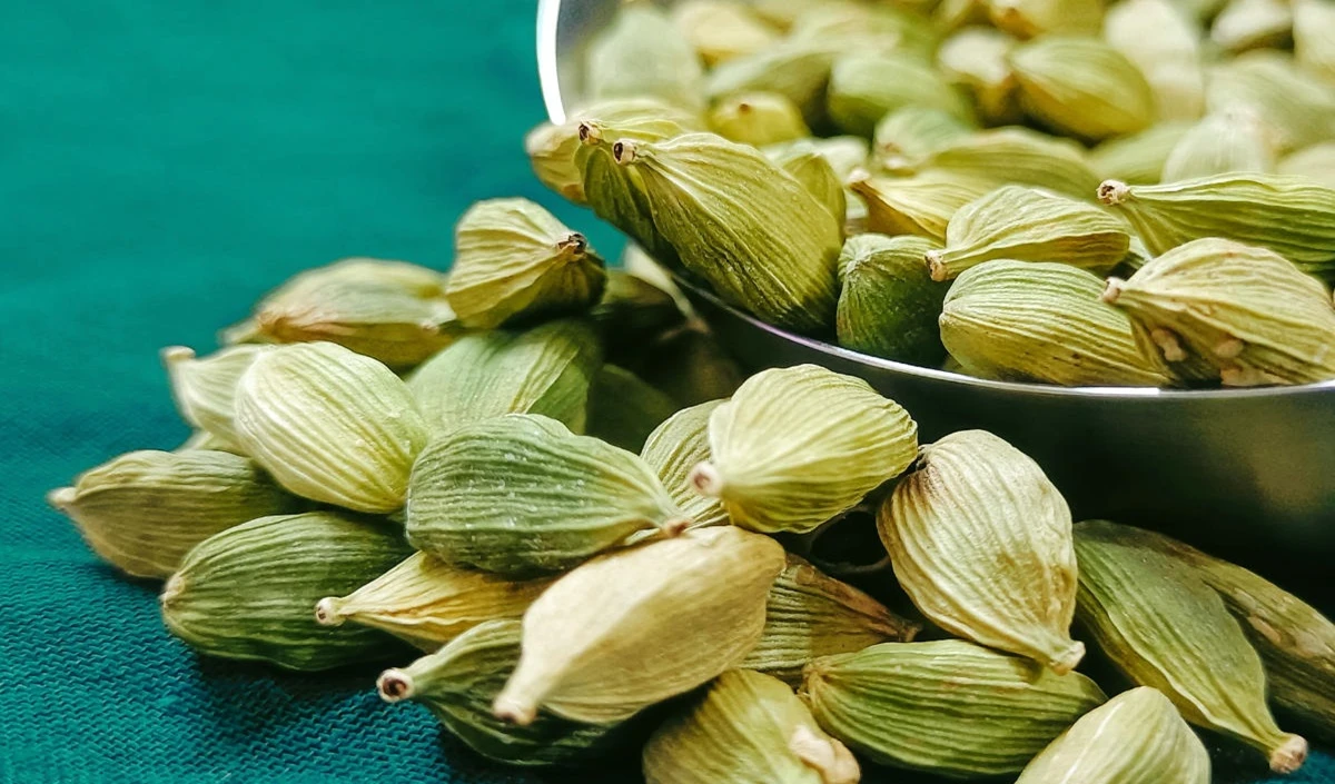 Cardamom Benefits: सेहत संबंधी कई चीजों के लिए फायदेमंद है इलायची, डाइट में करें शामिल