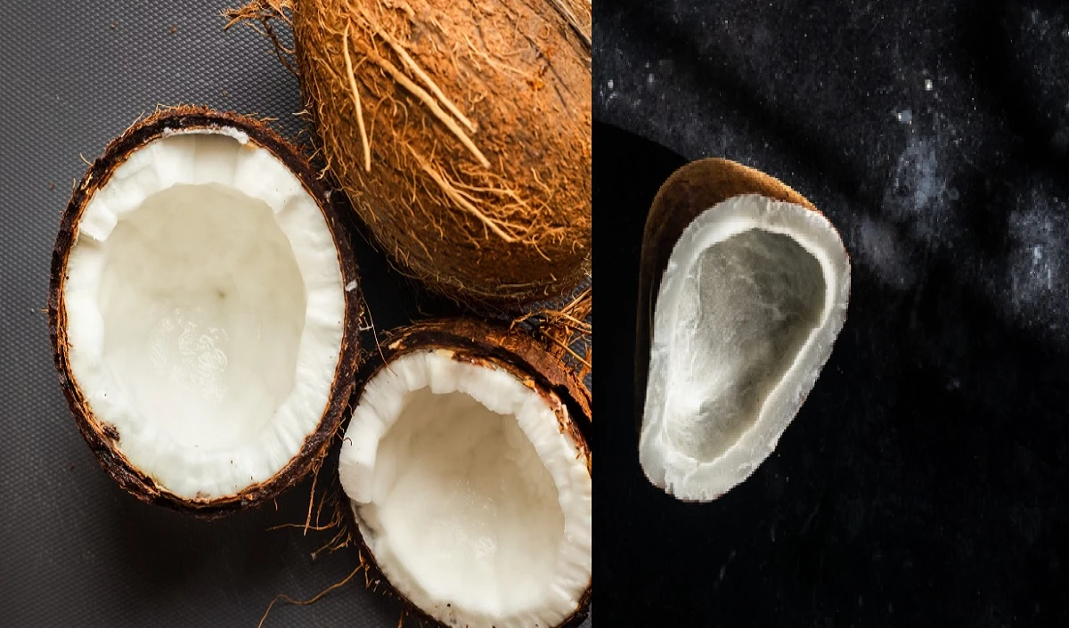 Dry VS Fresh Coconut: हेल्थ के लिए कौन-सा सबसे अच्छा है, सूखा या ताजा नारियल?