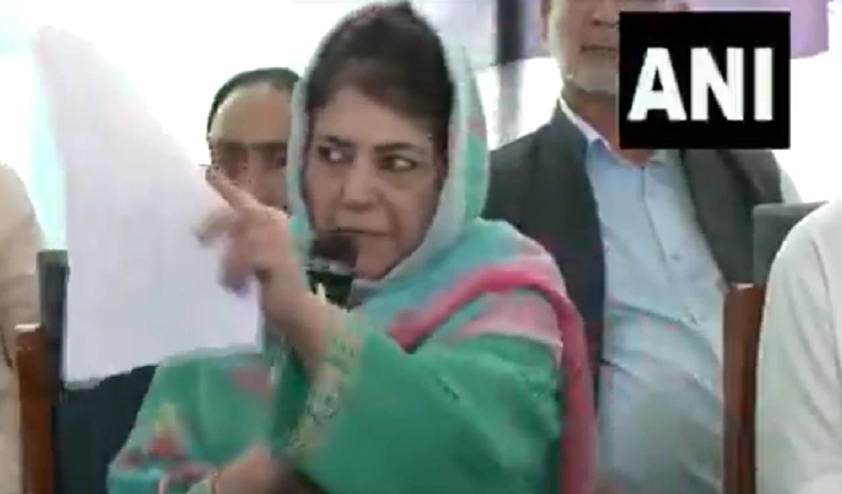 चुनाव नहीं लड़ेंगे… महबूबा मुफ्ती ने कांग्रेस-NC से हाथ मिलाने  के सवाल पर ये क्या कह दिया