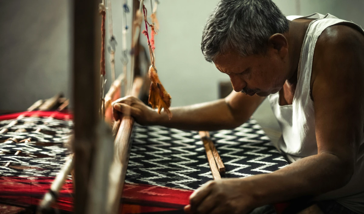 National Handloom Day 2024: रॉयल लुक देने वाली हैंडलूम साड़ियों को इस तरह से करें देखभाल, होती हैं नाजुक