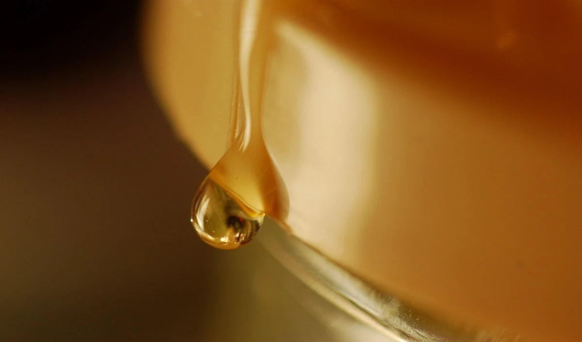 Honey Benefits: शहद के साथ भूलकर भी न करें इन चीजों का सेवन, वरना सेहत को हो सकता है नुकसान