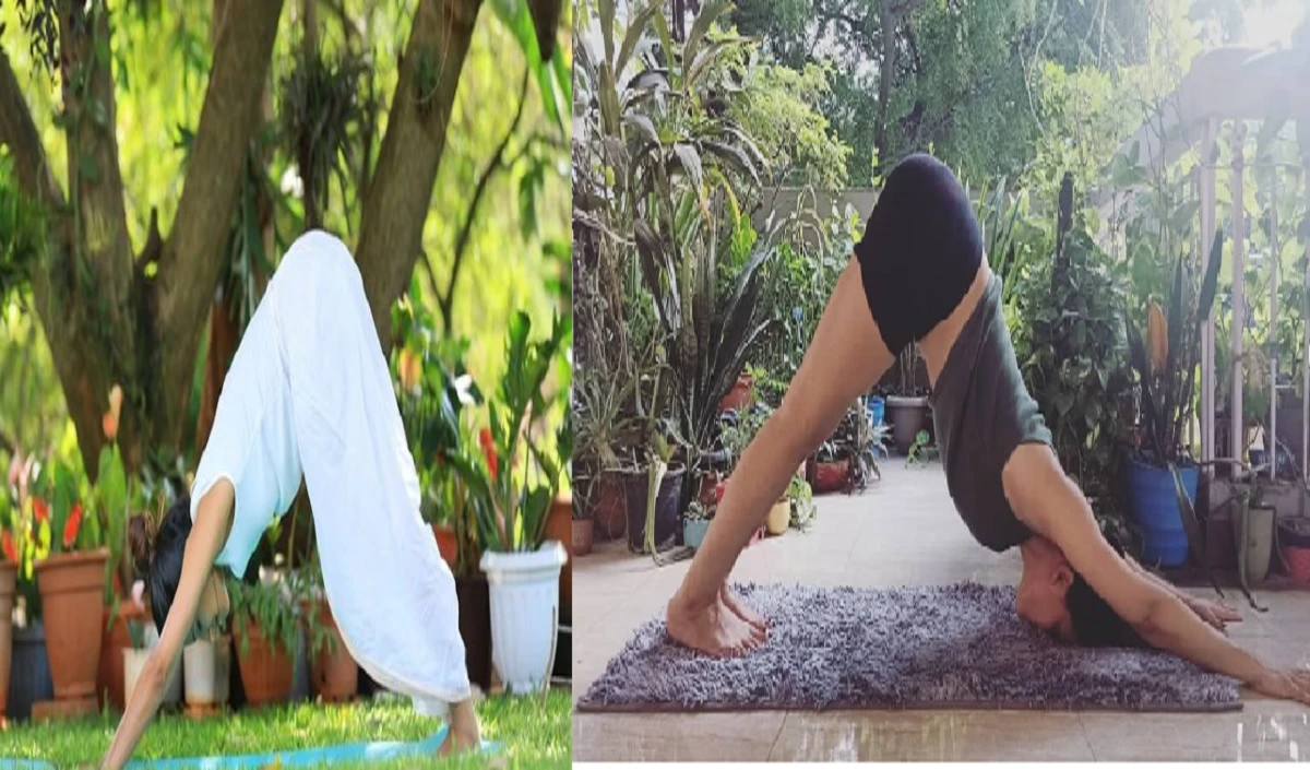 दिवाली की सफाई ने तहस-नहस कर दिया चेहरे का ग्लो, तो पर्वतासन करने से पाएं खोया हुआ निखार