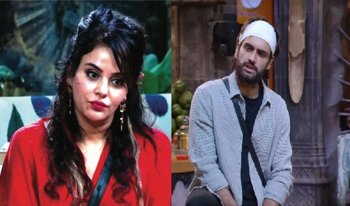 Bigg Boss 18: सारा अरफीन खान ने Vivian Dsena की पूर्व पत्नी Vahbiz Dorabjee पर टिप्पणी की