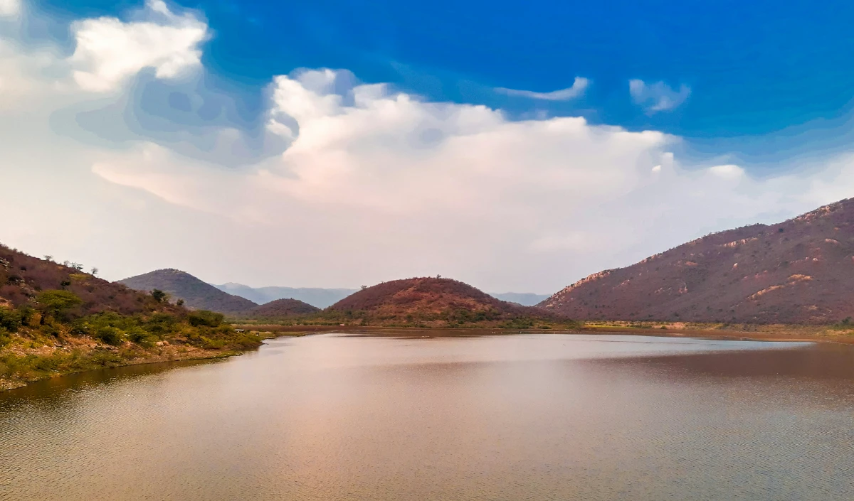 दिल्ली की ठंड से दूर घूम आएं राजस्थान का सरिस्का, वाइल्ड लाइफ देखकर बच्चों को आएगा मजा