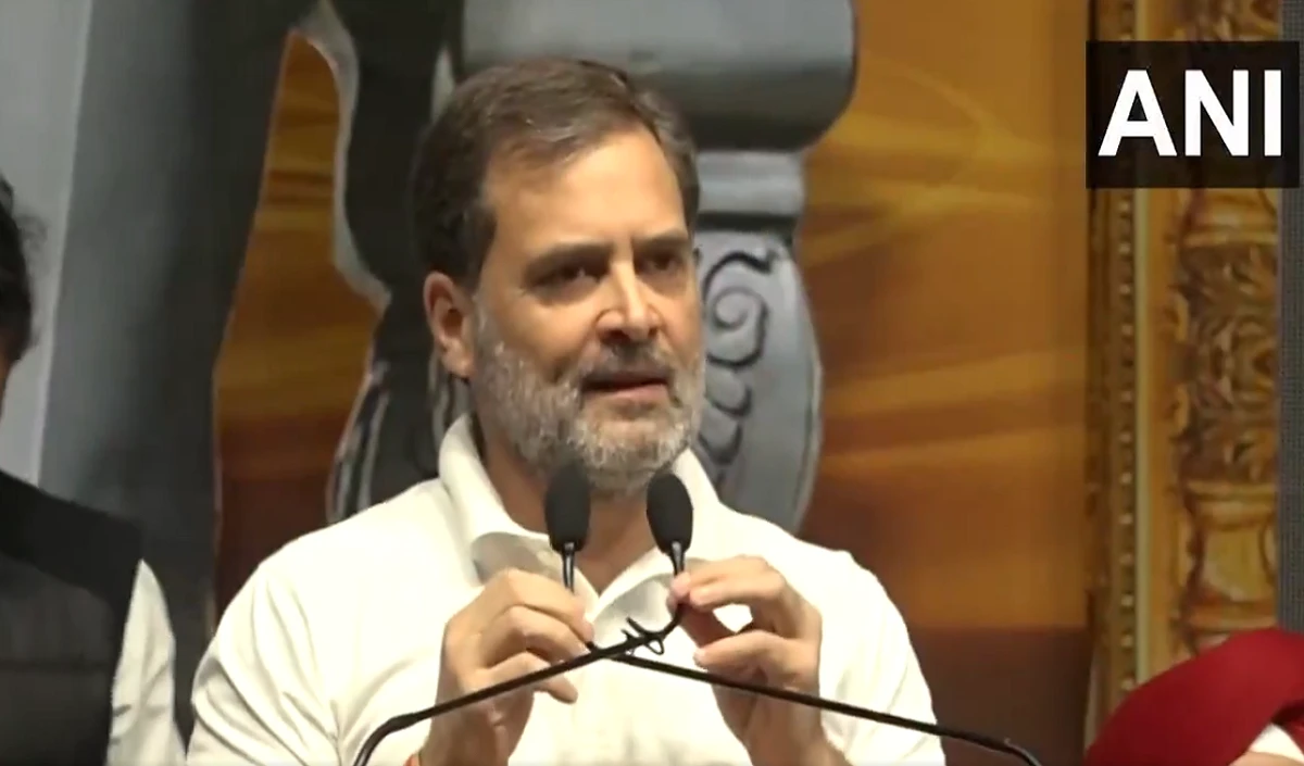 Delhi Elections: मोदी और केजरीवाल पर राहुल का वार, बोले- दिल्ली को चाहिए शीला दीक्षित का विकास मॉडल