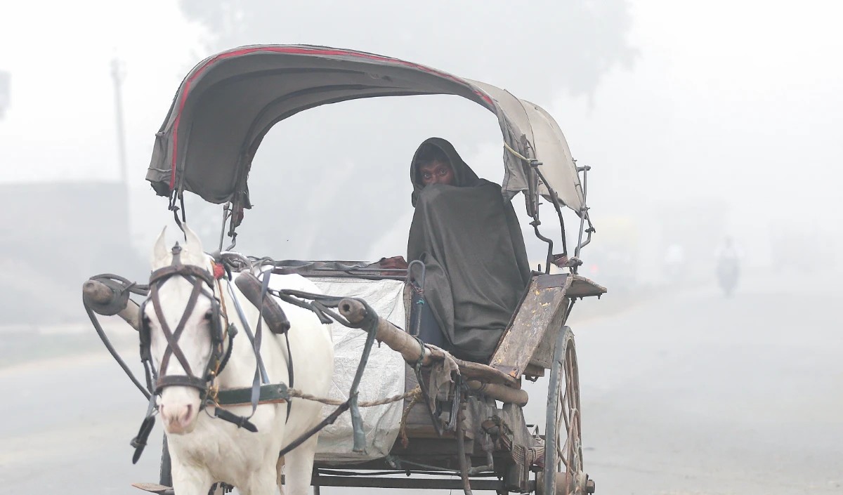 राजस्थान के फतेहपुर में न्यूनतम तापमान 3.9 डिग्री सेल्सियस