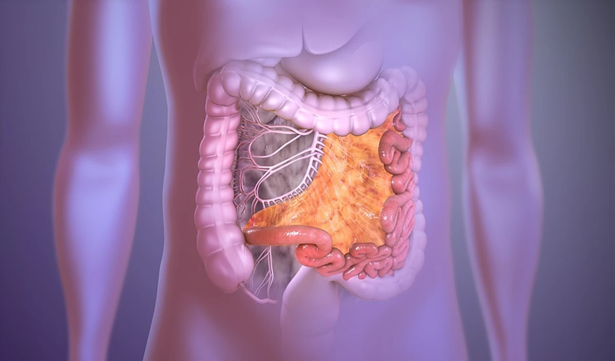 Health Tips: आंतों को स्वस्थ बनाने के लिए अपनाएं ये 5 तरीके, गट हेल्थ के लिए नहीं पड़ेगी दवाओं की जरूरत