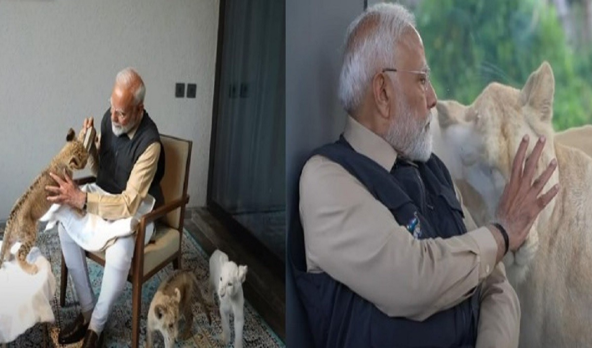 शेर के शावक को दुलारते दिखे PM मोदी, गुजरात में वन्यजीव बचाव केंद्र ‘वनतारा’ का उद्घाटन भी किया