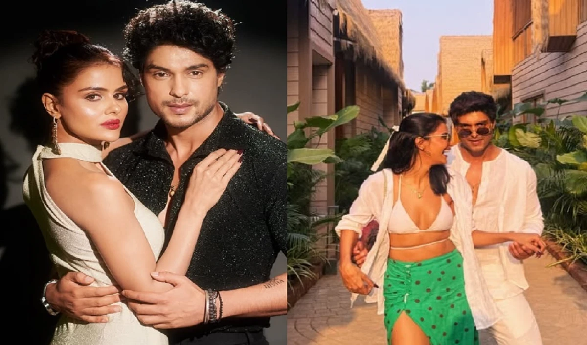 ‘उडारियां’ फेम कपल प्रियंका चाहर चौधरी और अंकित गुप्ता हुए अलग! एक्टर्स ने एक-दूसरे को इंस्टाग्राम से अनफॉलो किया
