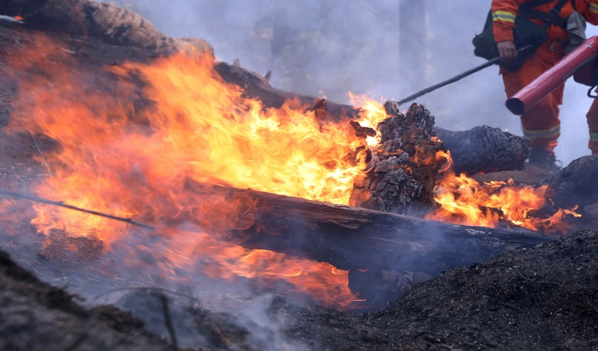 चीन के लियाओयांग शहर के रेस्तरां में आग लगने से 22 लोगों की मौत, 3 घायल