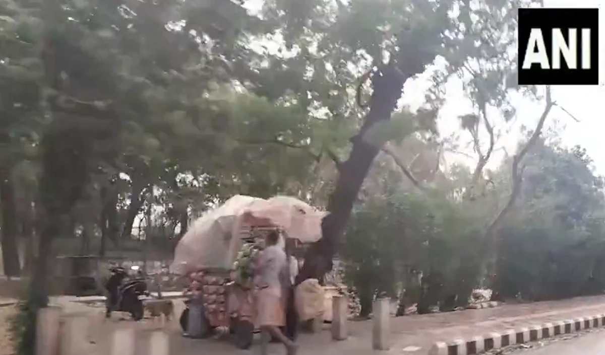 झुलसाने वाली गर्मी से मिली बड़ी राहत, Delhi-NCR के कई इलाकों में धूल भरी आंधी और बारिश