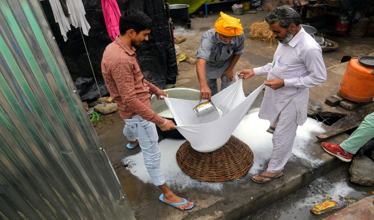 FSSAI के नए नियम आए सामने, फेक पनीर के वीडियो वायरल होने के बाद उठाया कदम