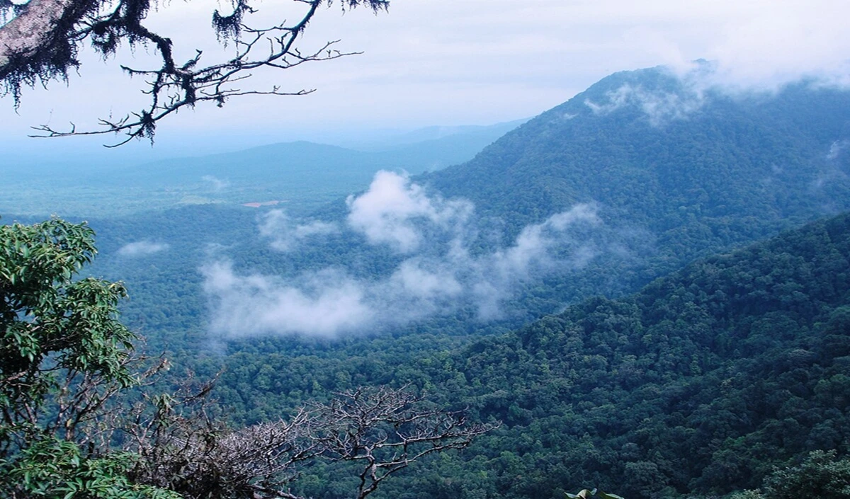 Karnataka Hidden Places: कर्नाटक की यह जगह प्रकृति प्रेमियों के लिए स्वर्ग, आप भी जरूर करें एक्सप्लोर
