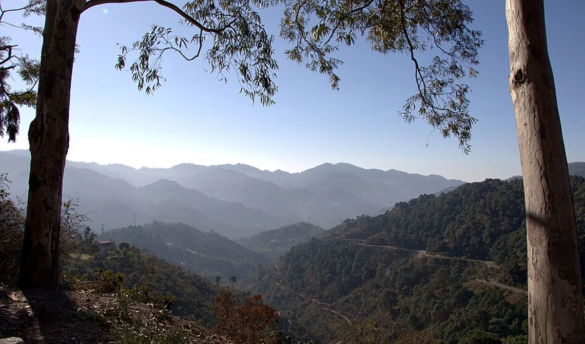 Himachal Tourism: शांति, प्राकृतिक सौंदर्य और औपनिवेशिक विरासत का अनोखा मेल है कसौली