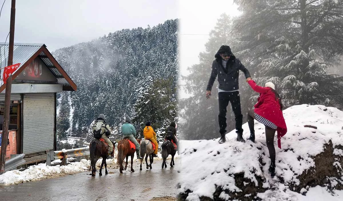 Himachal Tourism: बर्फबारी, रोमांच और प्राकृतिक सौंदर्य का आदर्श संगम है कुफरी
