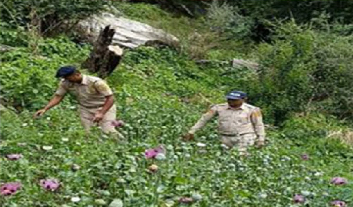 शिमला, कुल्लू और नाहन की जिला अदालतों में बम की धमकी, परिसर को कराया गया खाली