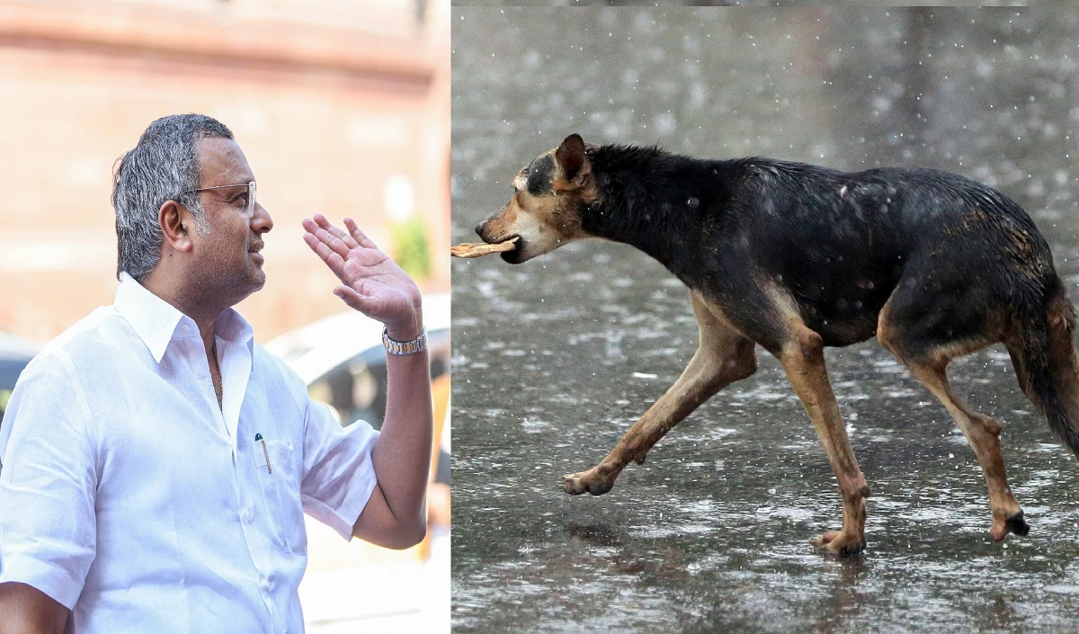 तमिलनाडु में एक ही दिन में आवारा कुत्तों ने 11 लोगों को काटा, कांग्रेस सांसद ने टास्क फोर्स की कर दी मांग
