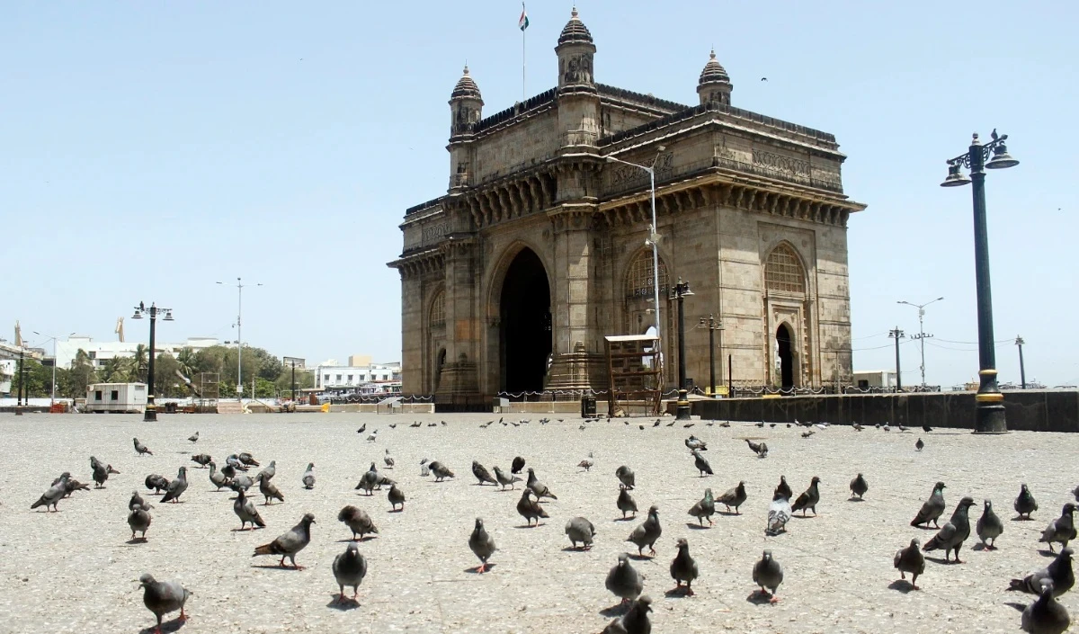 मुंबई में 51 कबूतरखाने बंद, HC के आदेश के बाद 100 लोगों का कट गया चालान