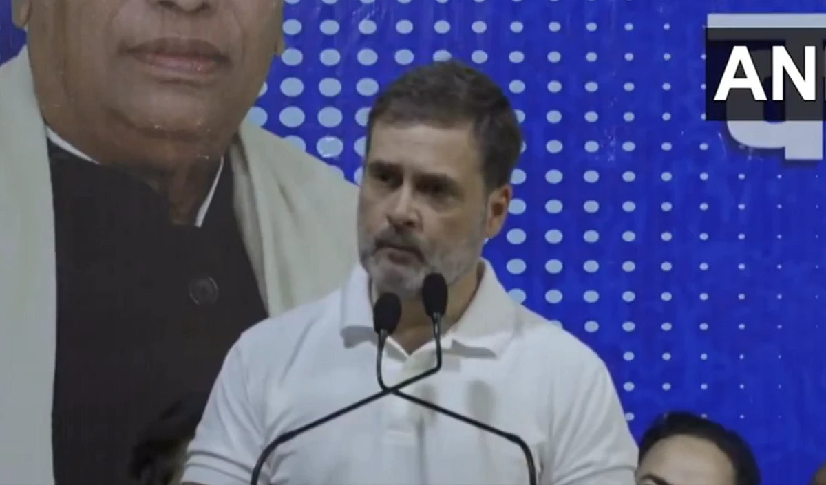 ‘मैं राजा नहीं हूं और राजा बनना भी नहीं चाहता’, समर्थकों की नारेबाजी पर राहुल गांधी का जवाब, देखें Video