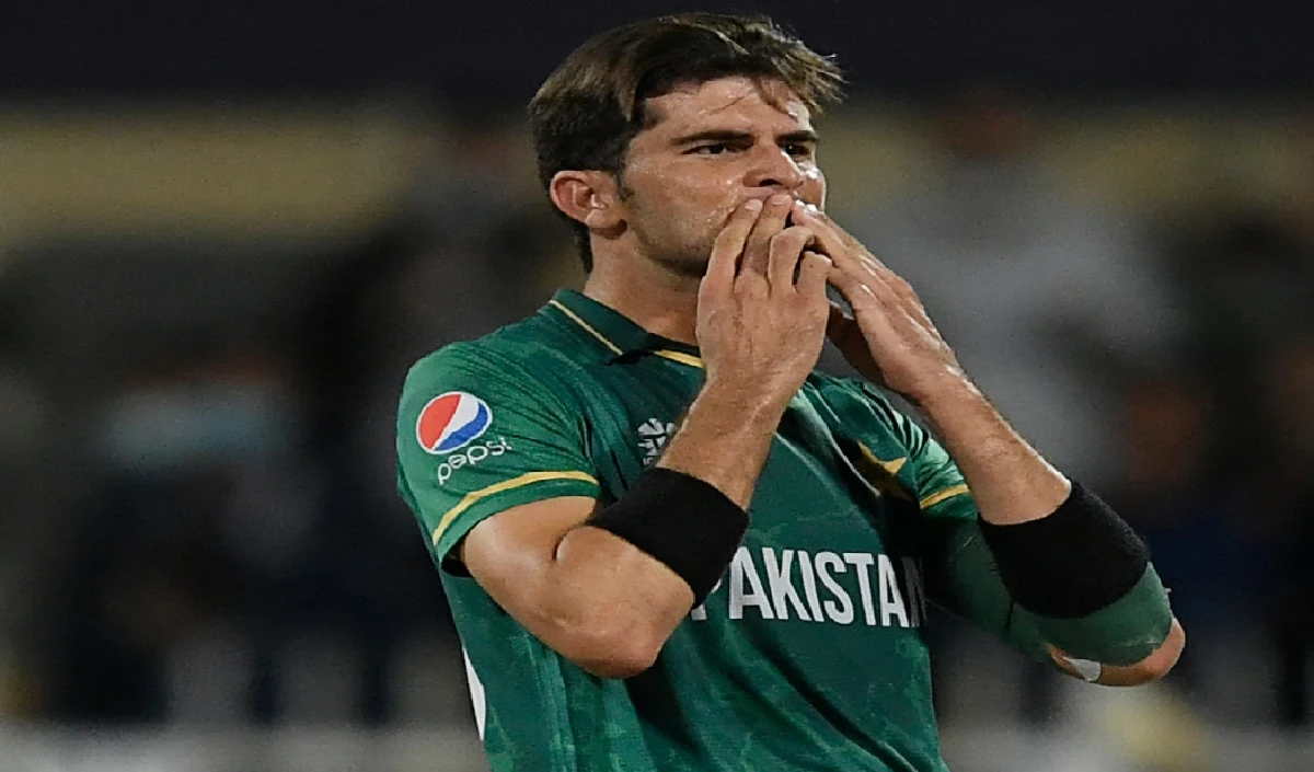 WI vs PAK: 4 विकेट लेकर  शाहीन अफरीदी ने बनाया वनडे में नया वर्ल्ड रिकॉर्ड, राशिद खान को पछाड़ा