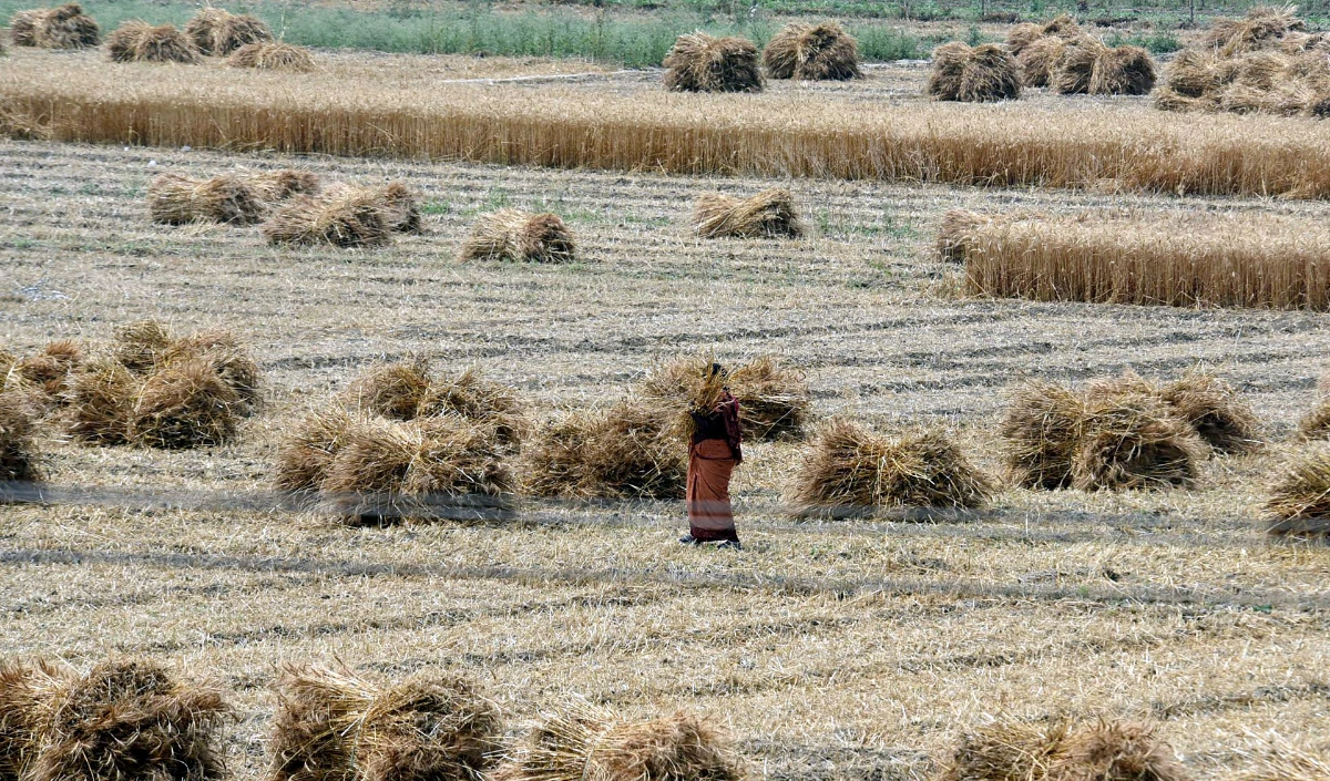 राजस्व महा-अभियान: अब हलकों में लगेंगे अतिरिक्त शिविर