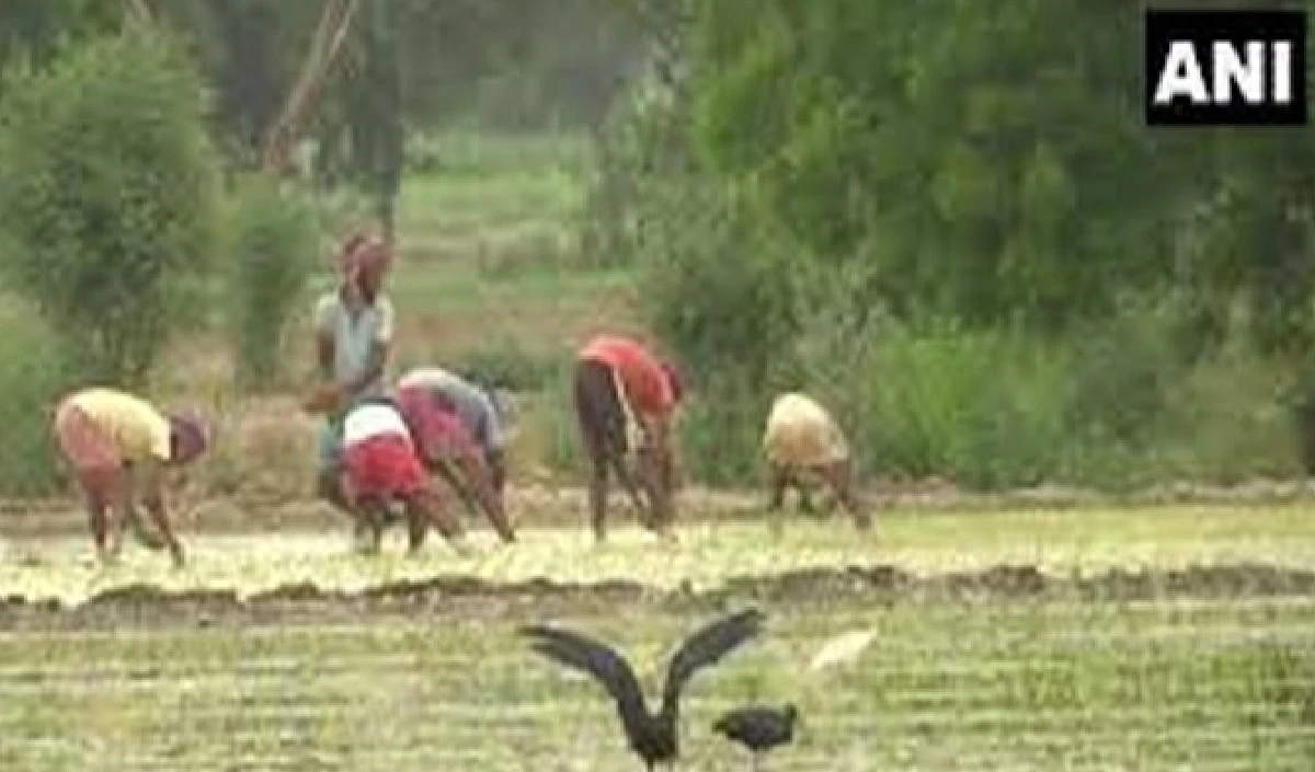 मराठवाड़ा में 50 साल की सबसे भारी बारिश, 8 लोगों की मौत, 159 गांव बाढ़ की चपेट में आए