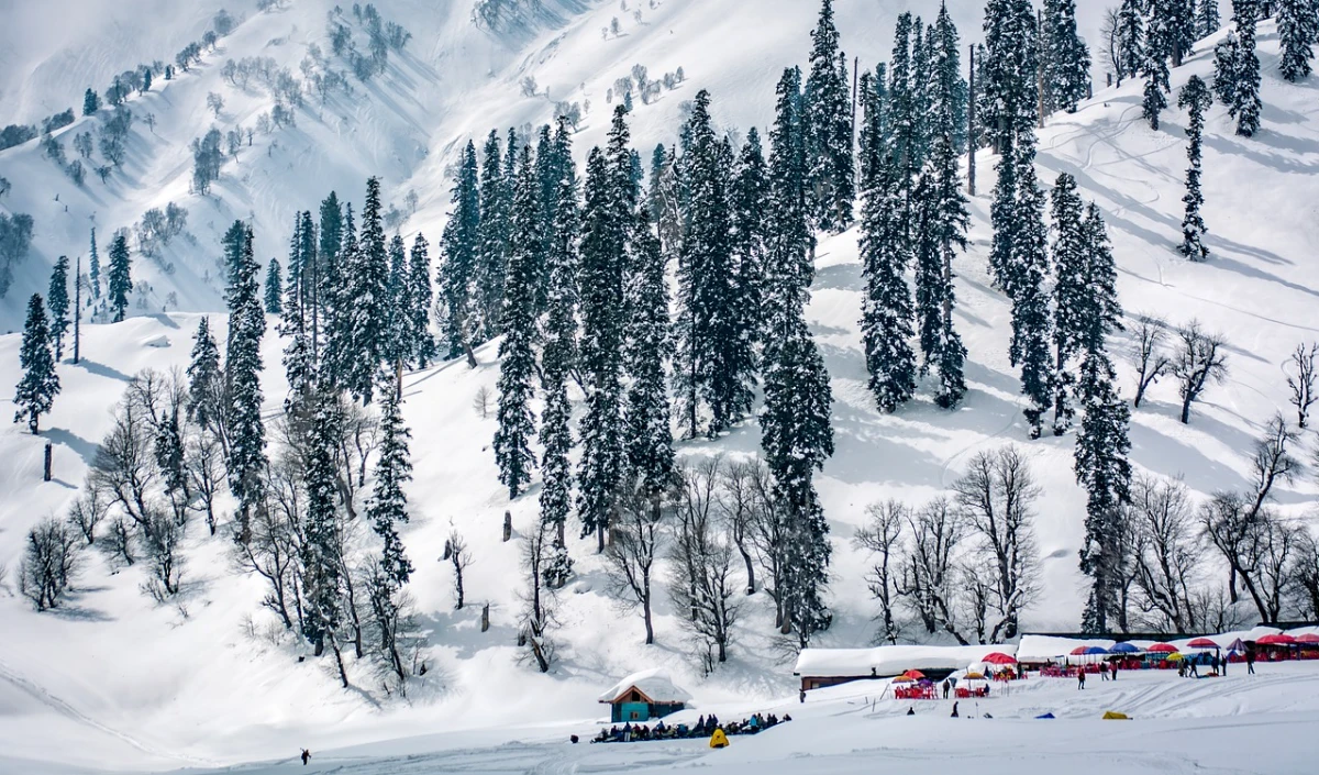 उत्तराखंड-हिमाचल को कहें अलविदा! भारत की ये 4 जगहें बर्फबारी में दे सकती हैं ज़बरदस्त नजारे