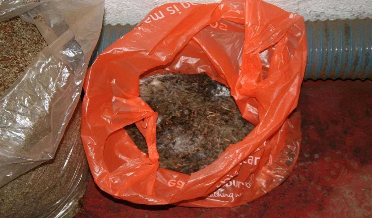 Palghar में 6.39 लाख रुपये का प्रतिबंधित गुटखा जब्त; दुकानदार गिरफ्तार