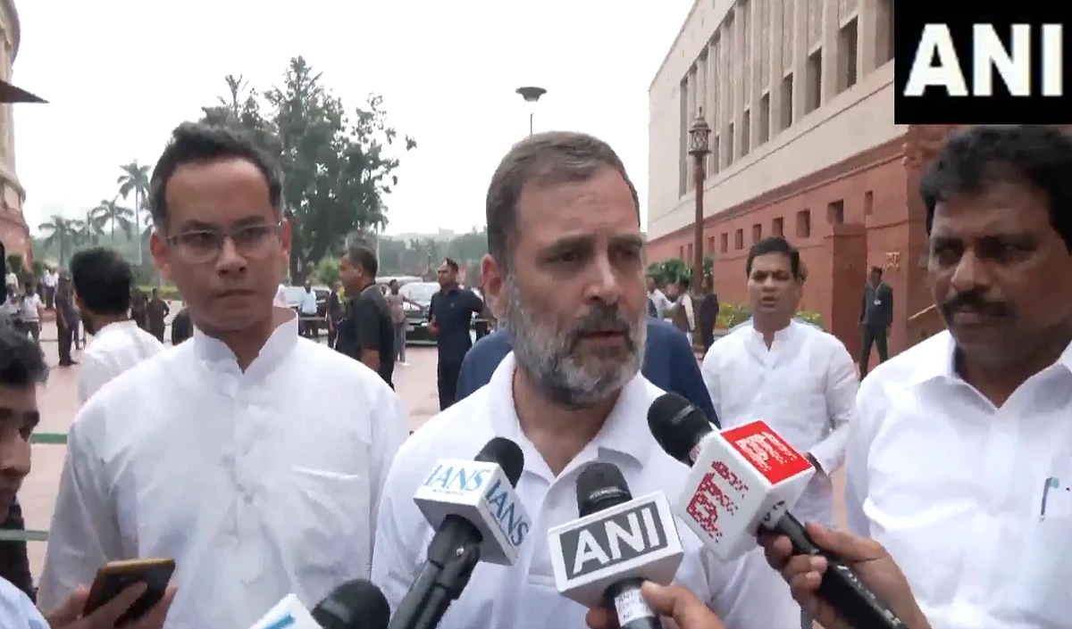 शायना एनसी का तंज, सीरियल ड्रामा करते हैं राहुल गांधी, हारने के बाद फैला रहे झूठी बातें
