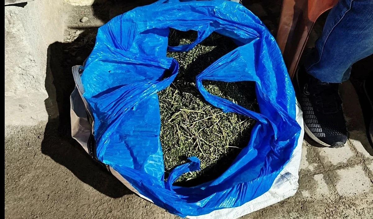 Sri Lanka के कोलंबो हवाई अड्डे पर तीन भारतीय 50 किलोग्राम गांजा के साथ गिरफ्तार