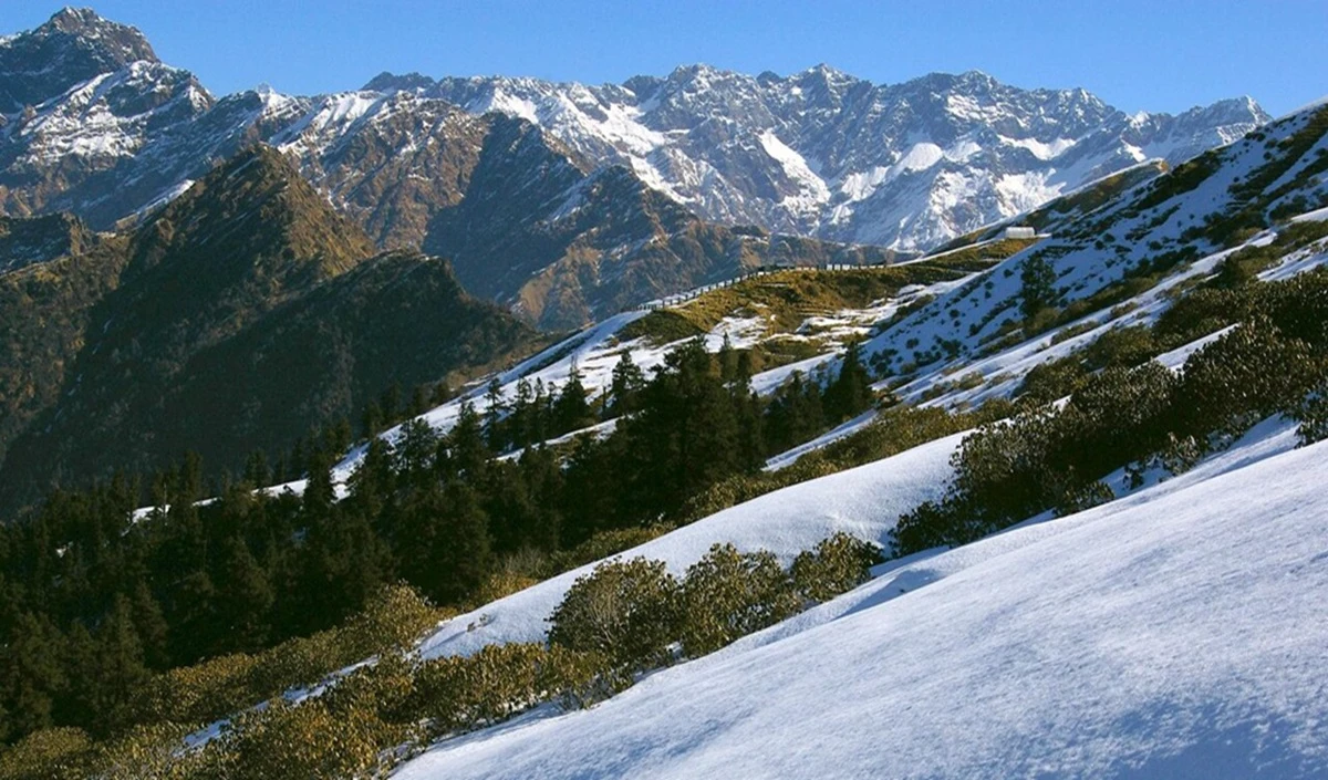 Chopta Interesting Facts: Uttarakhand का ‘मिनी स्विट्जरलैंड’, जानिए क्यों है ये Nature Lovers की पहली पसंद