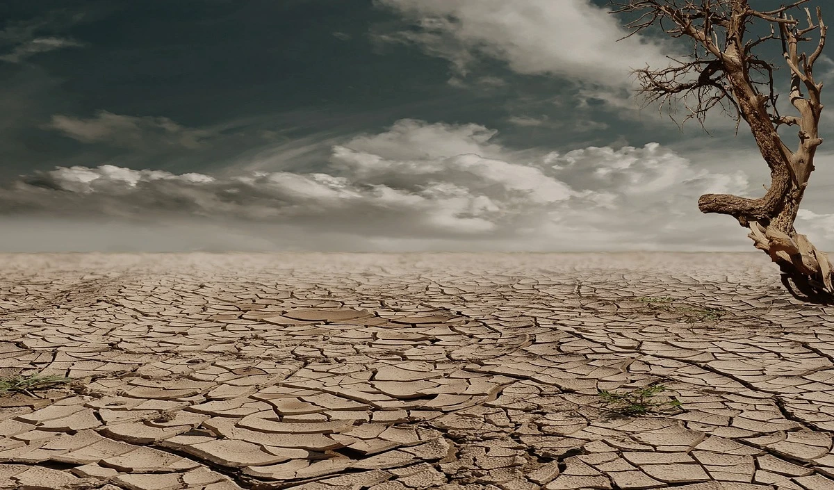 Kenya Drought | केन्या में सूखे का तांडव! 20 लाख लोग भुखमरी की कगार पर, मंडेरा जिले में ‘चेतावनी’ स्तर पर पहुंचा संकट