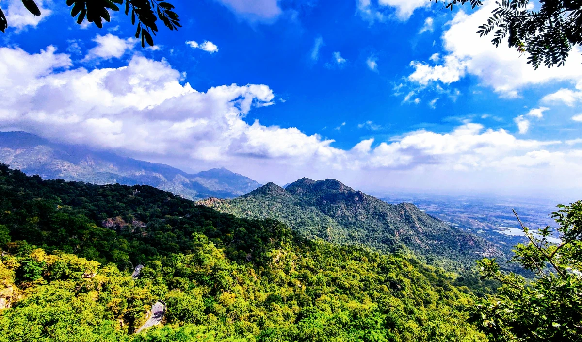 Mount Abu Budget Trip: सिर्फ 10 हजार में ऐसे करें ट्रिप प्लान, एक भी रुपया नहीं होगा एक्स्ट्रा खर्च।
