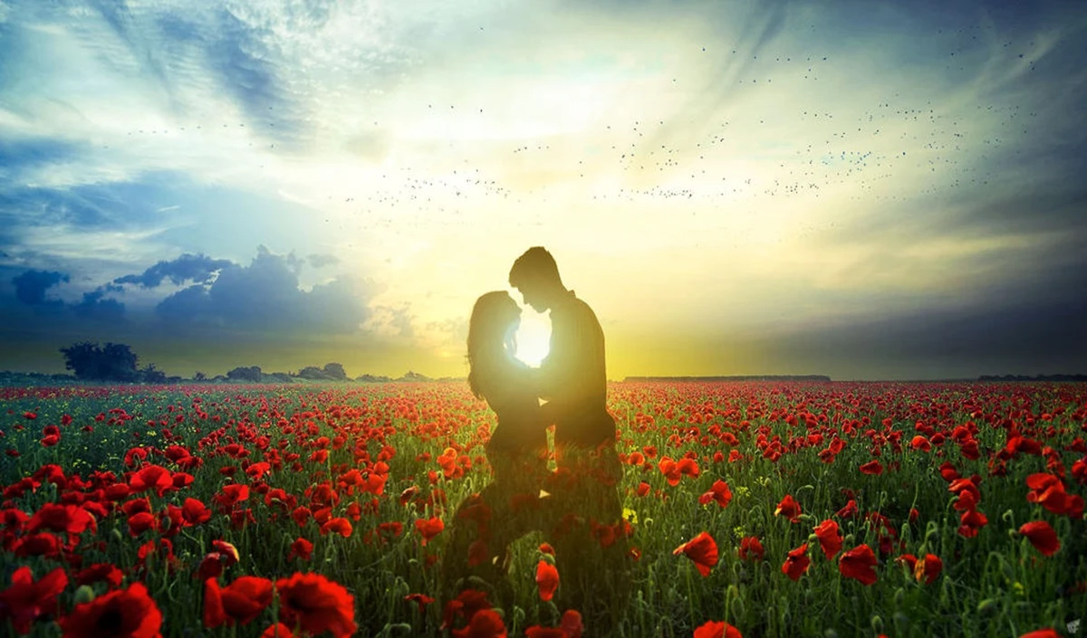 Valentine Trip Ideas: Love Birds ध्यान दें! Valentine Week को बनाएं खास, ये हैं India की 5 Dream Romantic Destinations