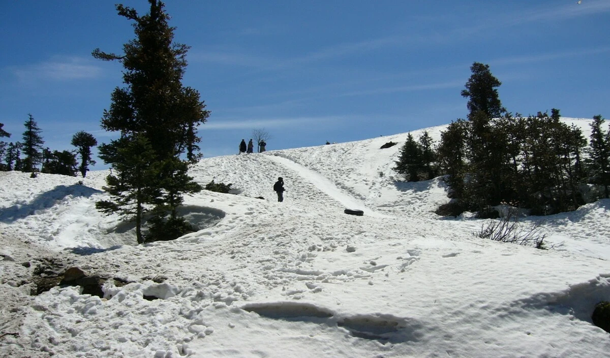 Hill Stations: शिमला के पास ये 5 ‘जन्नत’ जैसी जगहें, जहां मिलता है Peace और सुकून