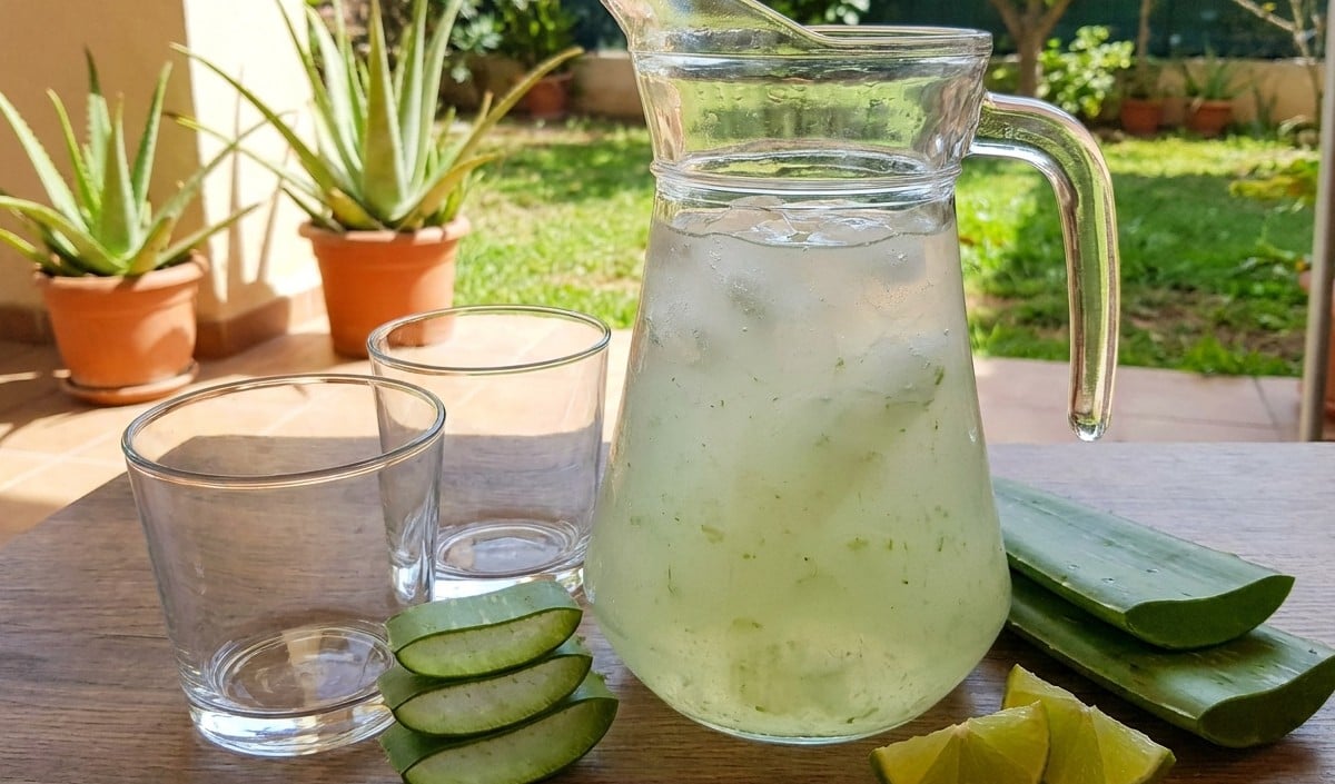 Aloe Vera जूस का रोज सेवन खतरनाक! इन लोगों के लिए बन सकता है ‘Slow Poison’