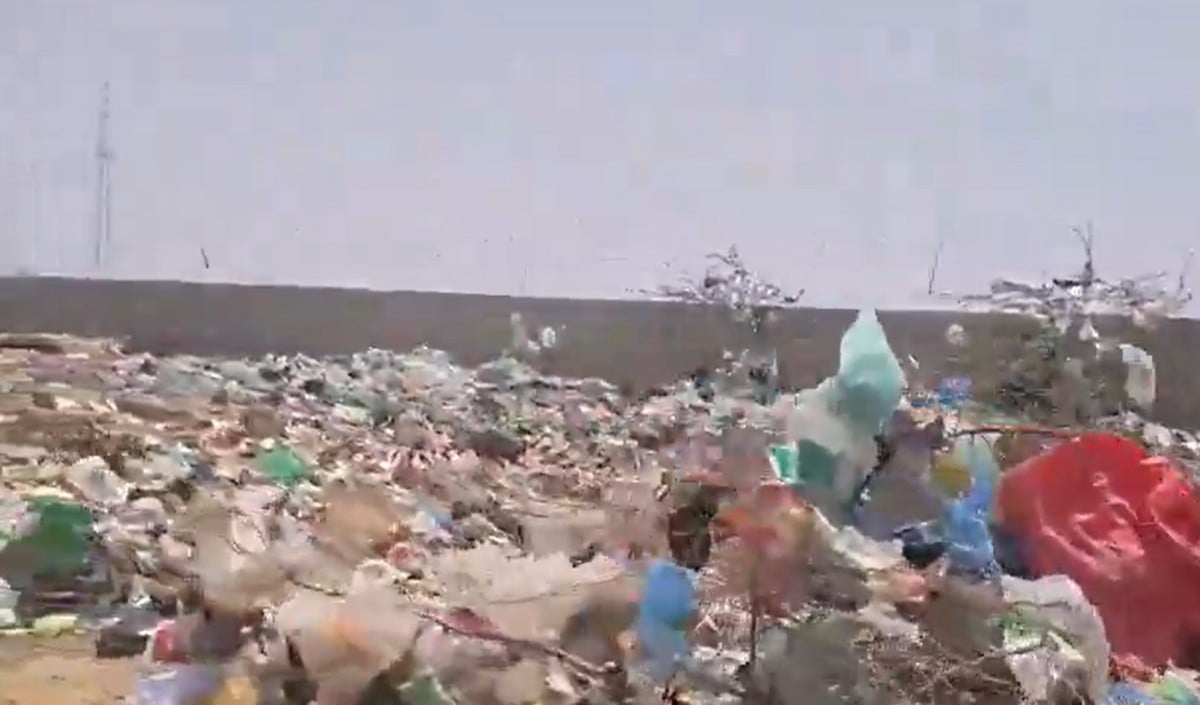Jaisalmer में 300 गायों के शवों का अंबार, Dumping Yard में दिखा लापरवाही का Shocking मंजर