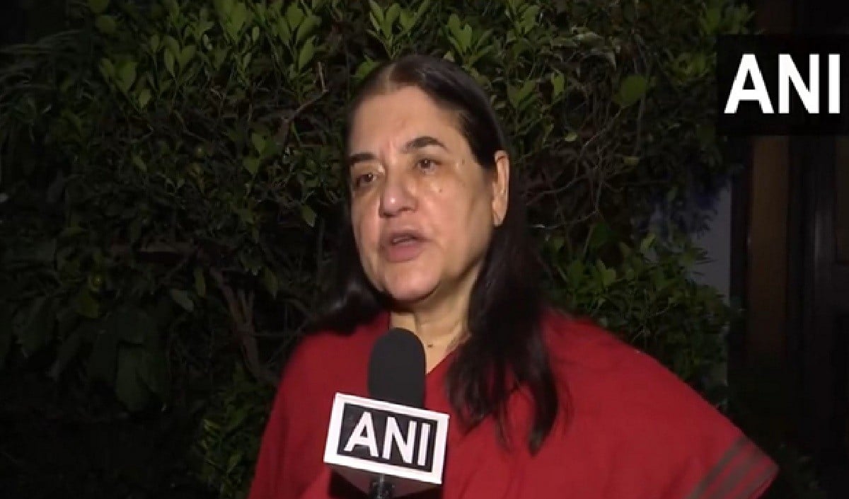 Stray Dogs पर Supreme Court के आदेश से भड़कीं Maneka Gandhi, कहा- कोर्ट ने जिम्मेदारी से पल्ला झाड़ा