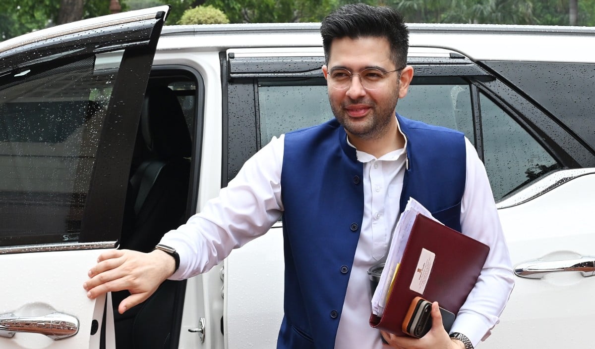 Raghav Chadha को Delhi HC का दो टूक: ‘राजनीतिक आलोचना प्राइवेसी का उल्लंघन नहीं’