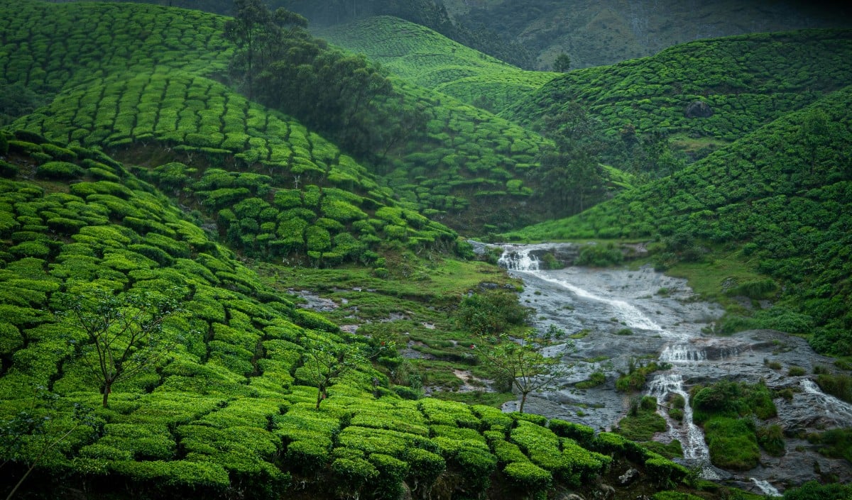 July में Monsoon Trip का प्लान? IRCTC लाया 10 हजार से भी सस्ते Tour Package, देखें पूरी लिस्ट