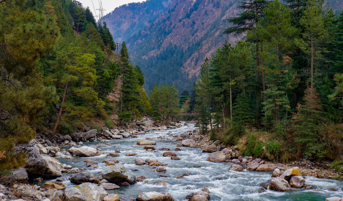 Himachal का Kasol बना ‘Mini Israel’, हर तरफ Hebrew भाषा और Israeli कल्चर का बोलबाला