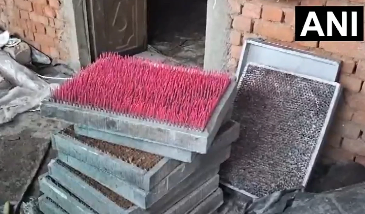 Ahmedabad Firecracker Blast: अवैध फैक्ट्री में धमाके से दहला शहर, 8 की मौत और कई घायल
