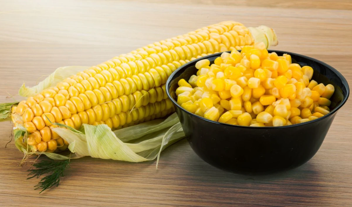 Monsoon में भुट्टे का ले रहे हैं मजा? Sugar, Acidity से बचना है तो जानें ये Complete Health Guide